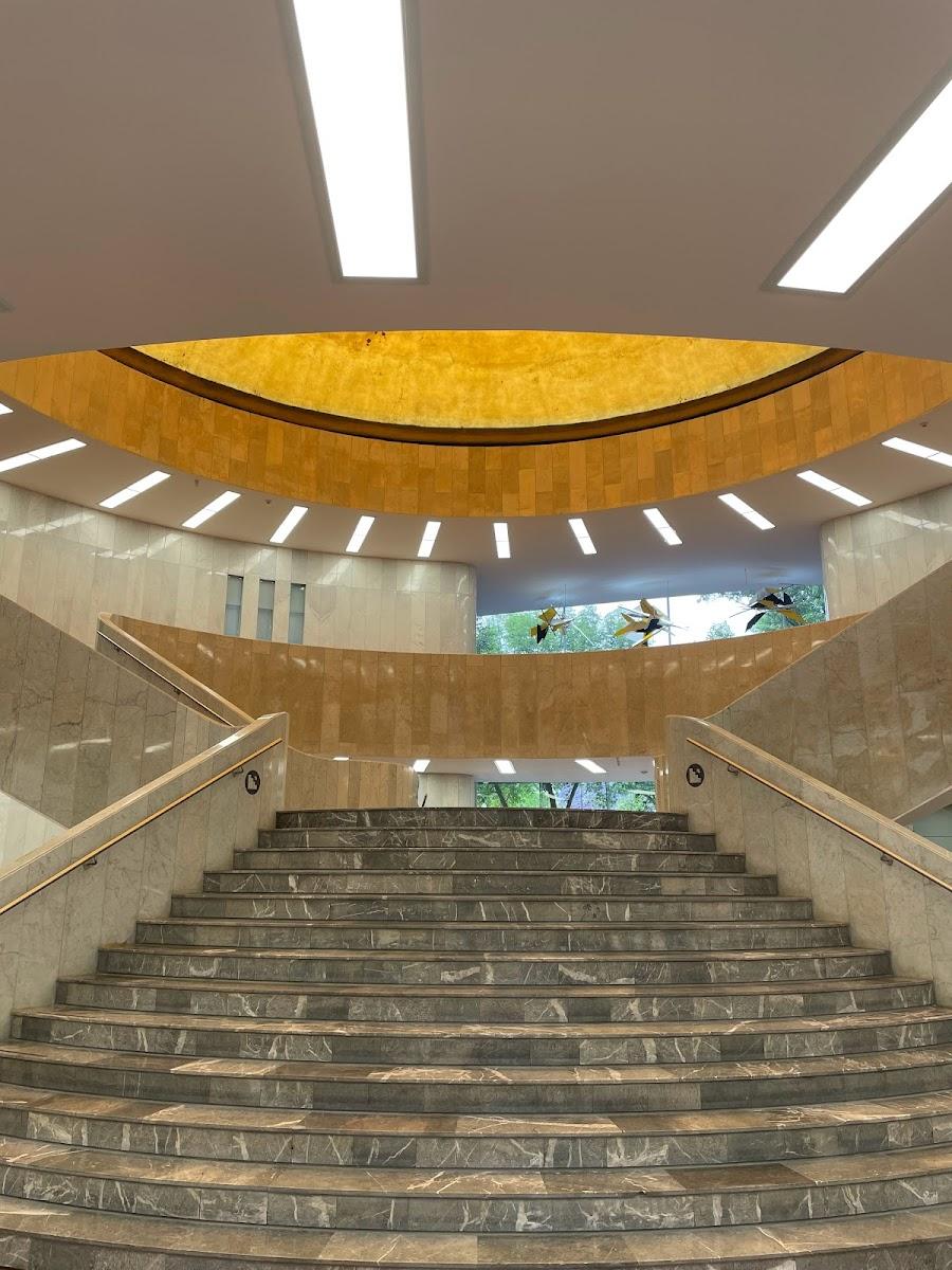 Museo de Arte Moderno | Mexico City, Mexico | Art Yourself Atelier