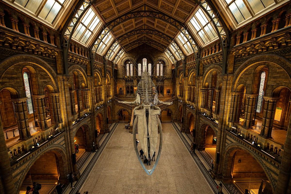 Natural History Museum | London, United Kingdom | Art Yourself Atelier