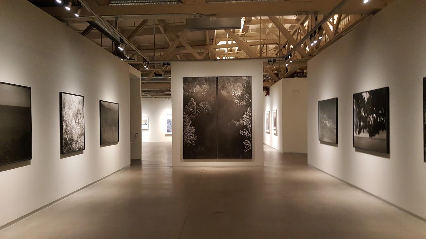 Pier 24 Photography | San Francisco, United States | Art Yourself Atelier
