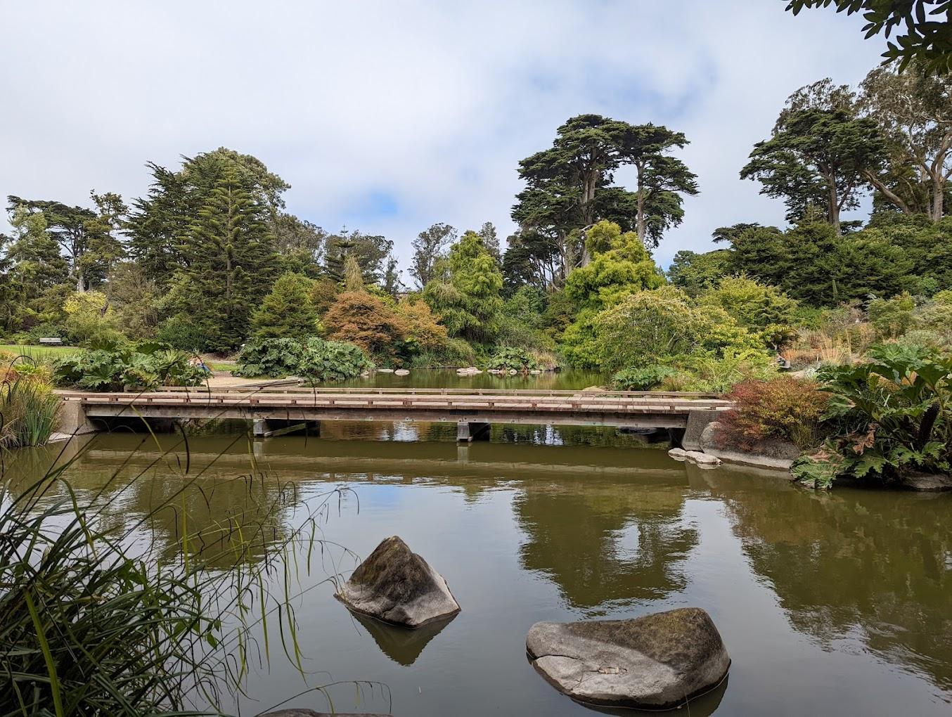 San Francisco Botanical Garden | San Francisco, United States | Art Yourself Atelier