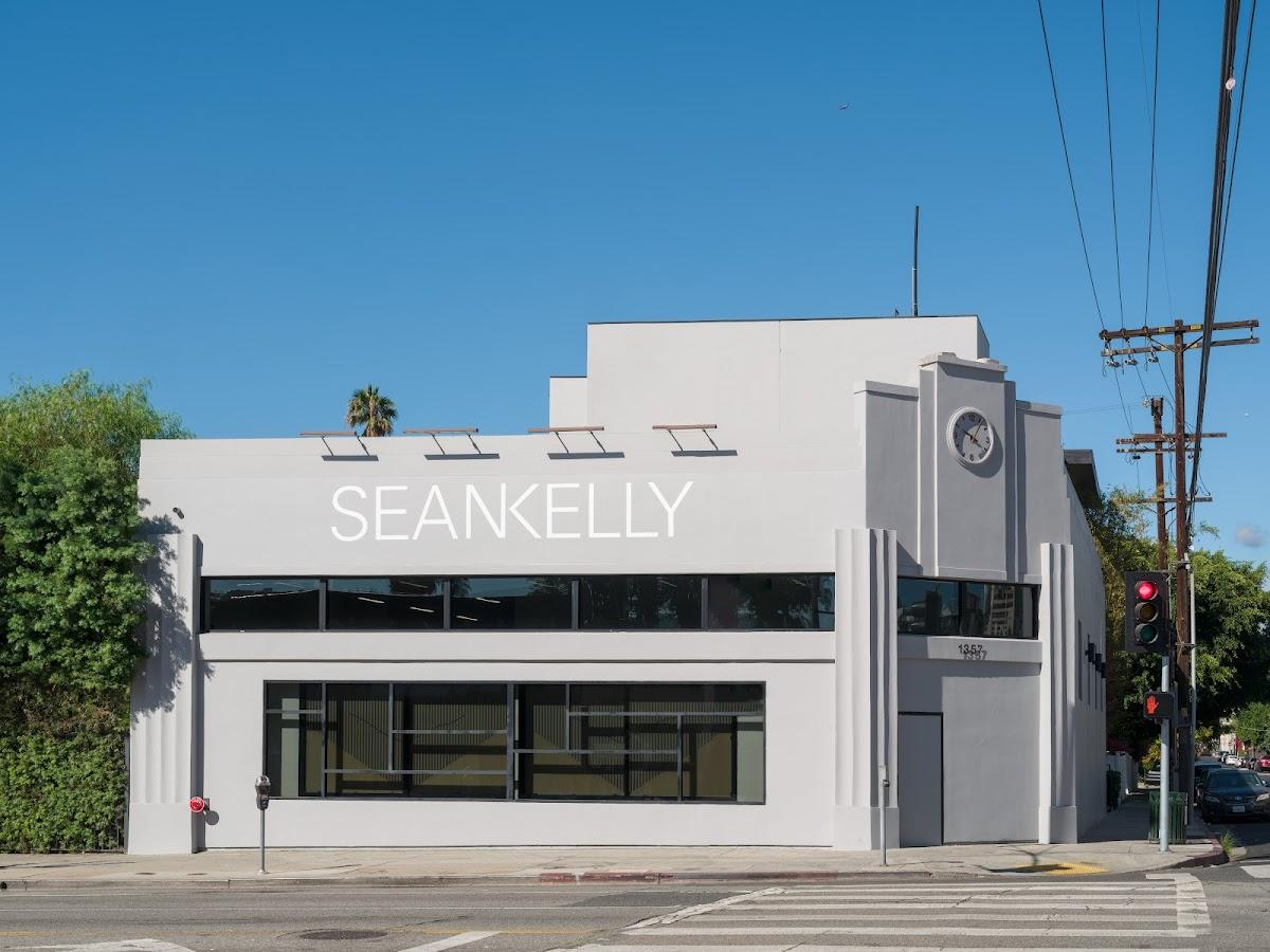 Sean Kelly | Los Angeles, United States | Art Yourself Atelier