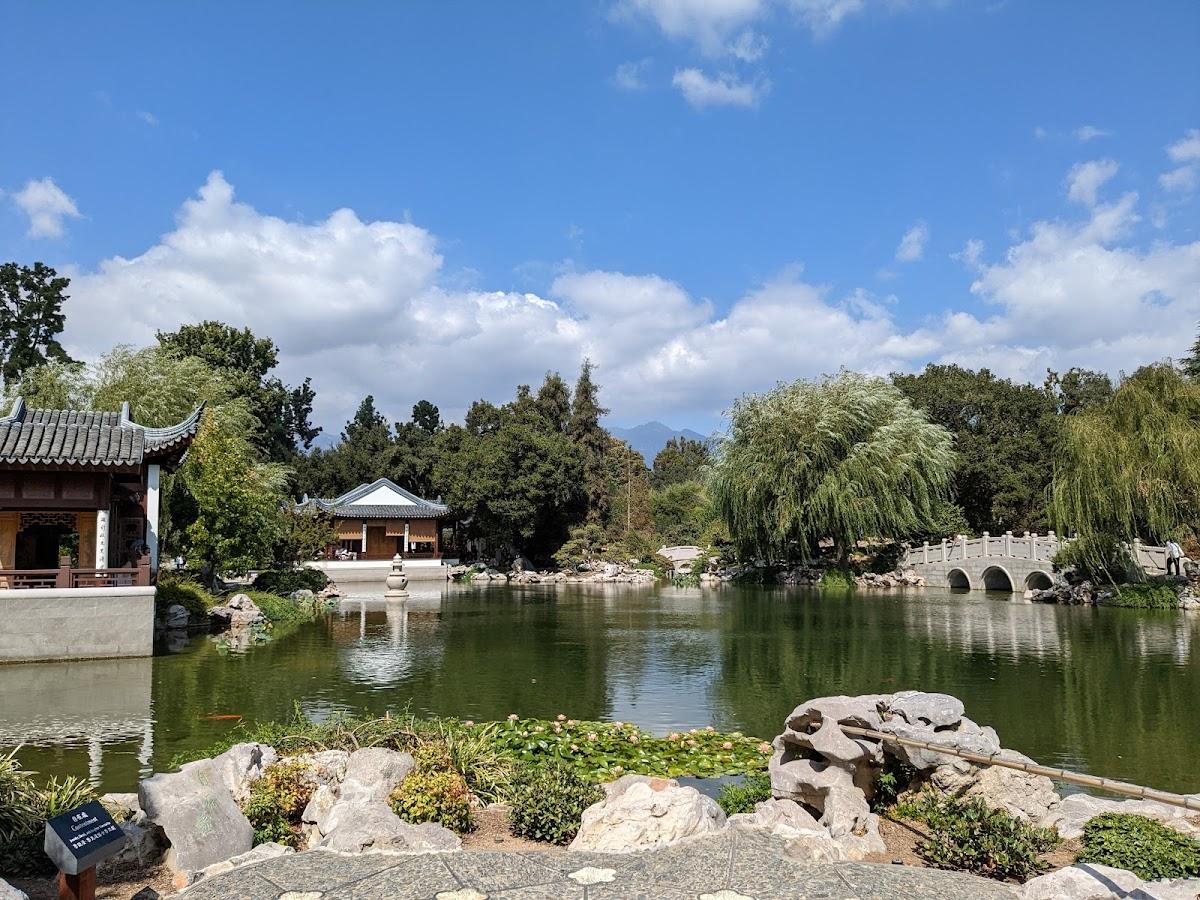 The Huntington Library, Art Museum, and Botanical Gardens | Los Angeles, United States | Art Yourself Atelier