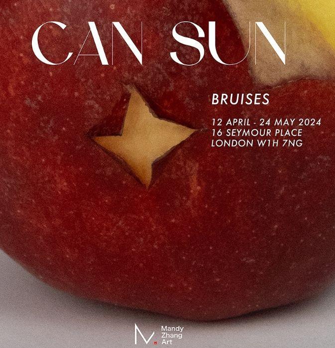 Can Sun. Bruises  | Can Sun | Mandy Zhang Art