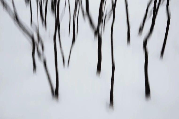 Charles March: Sand Script  | Charles March | Hamiltons Gallery