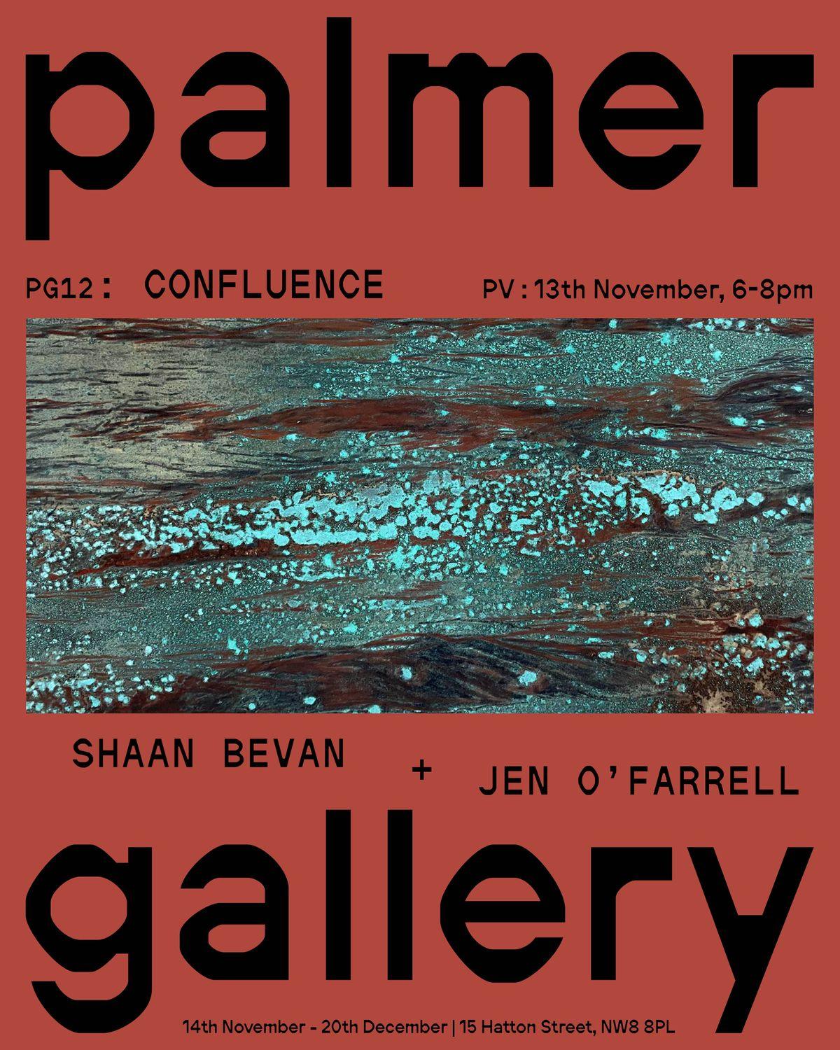 Confluence  | Jen O'Farrell, Shaan Bevan | Palmer Gallery