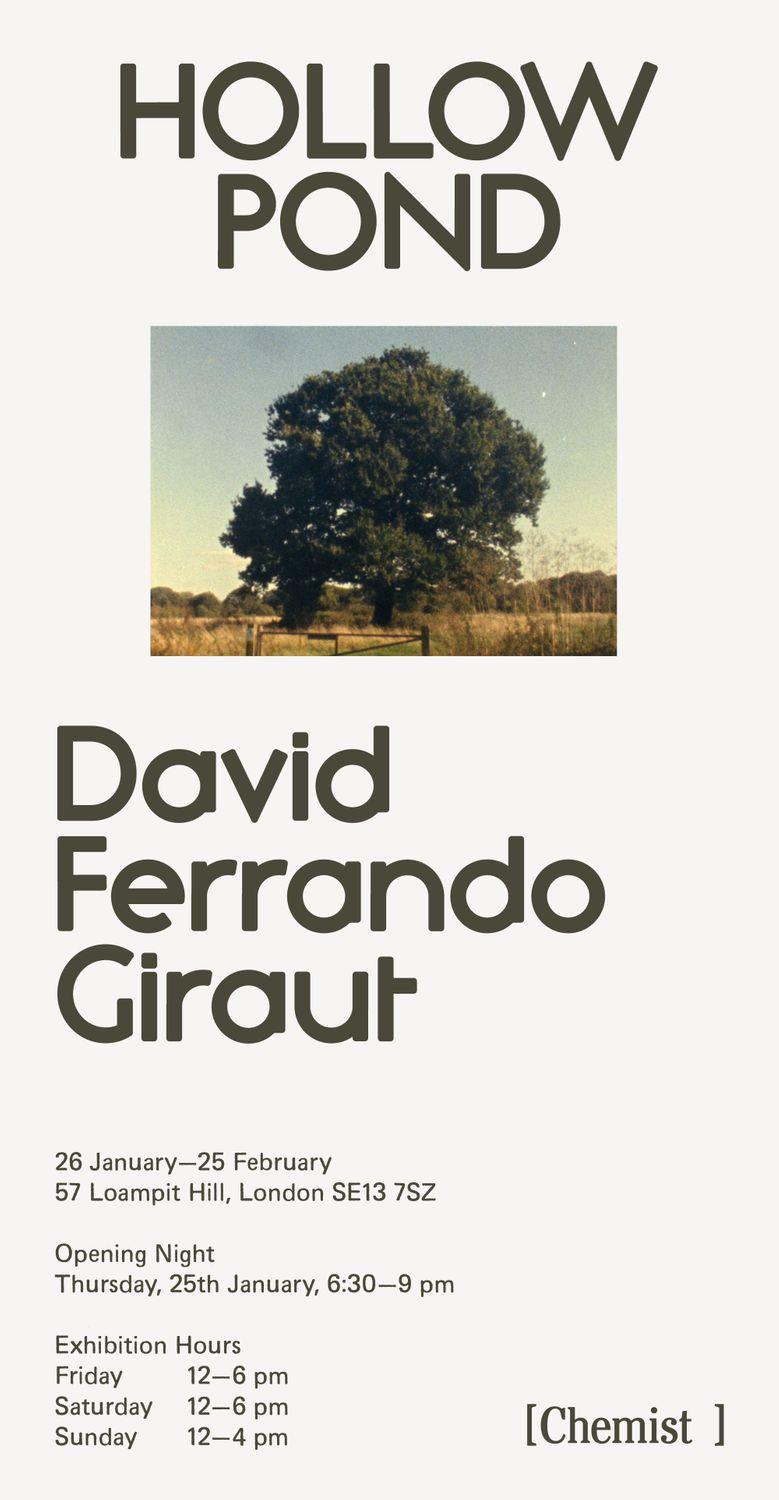 David Ferrando Giraut / Hollow Pond  | Chemist Gallery