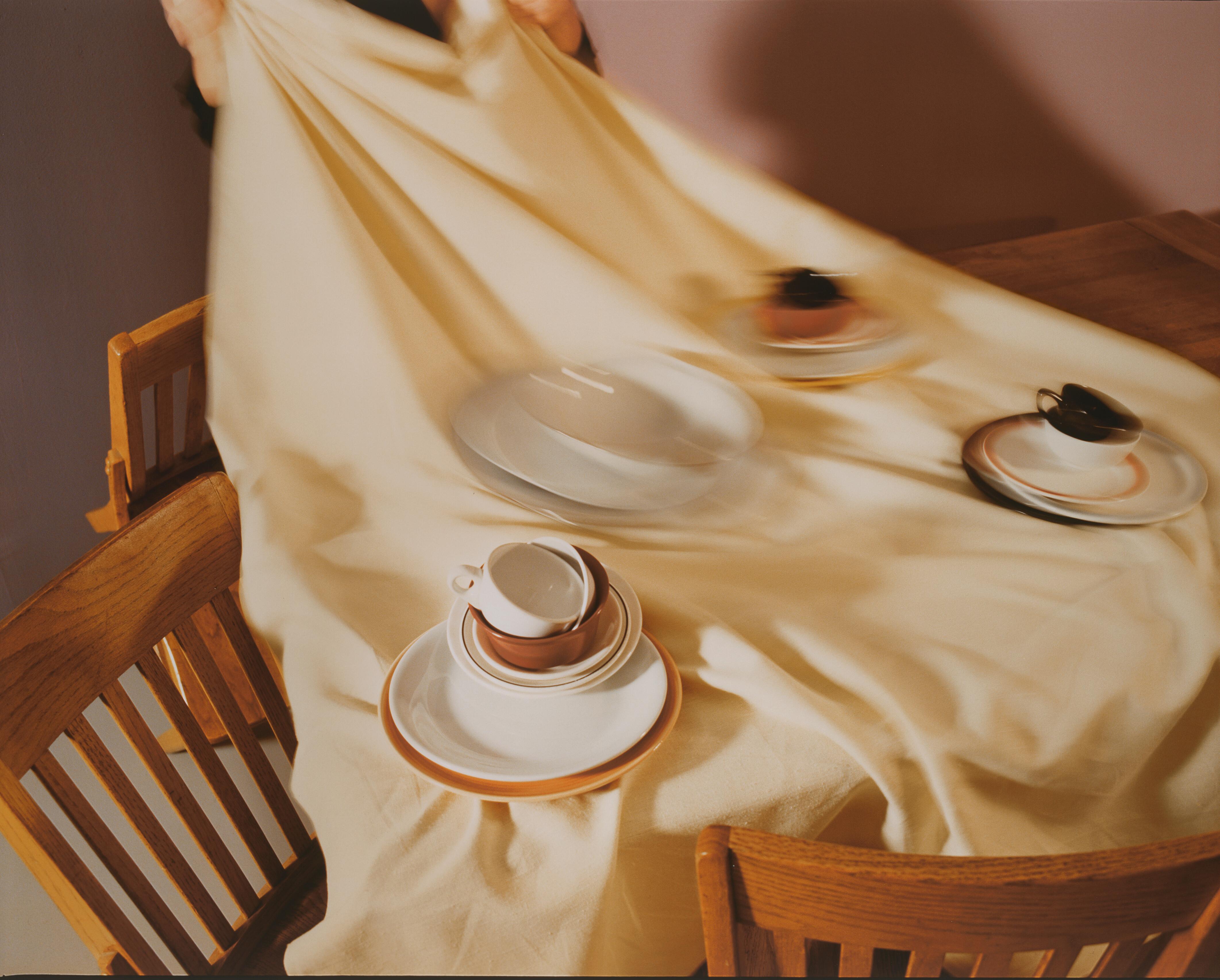 Dish Trick | ROSEGALLERY