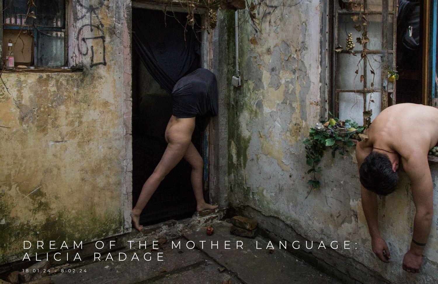 Dream Of The Mother Language. Alicia Radage  | Alicia Radage | Pictorum Gallery