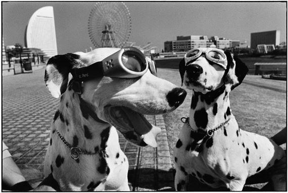 Elliott Erwitt: Last Laugh | Elliott Erwitt | Atlas Gallery