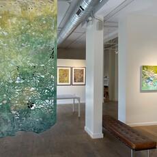 Force of Nature | gallery 1871