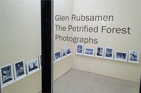 Glen Rubsamen: The Petrified Forest | Glen Rubsamen | Annemarie Verna Galerie