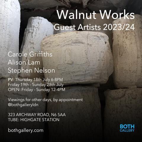 Guest Artists 2023-2024  | Stephen nelson, Alison Lam, Carole Griffiths | BOTH Gallery