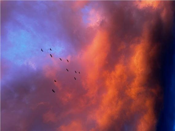 Hanna Mattes & Eva Mattes: Indien | Eva Mattes, Hanna Mattes | Belmacz Gallery