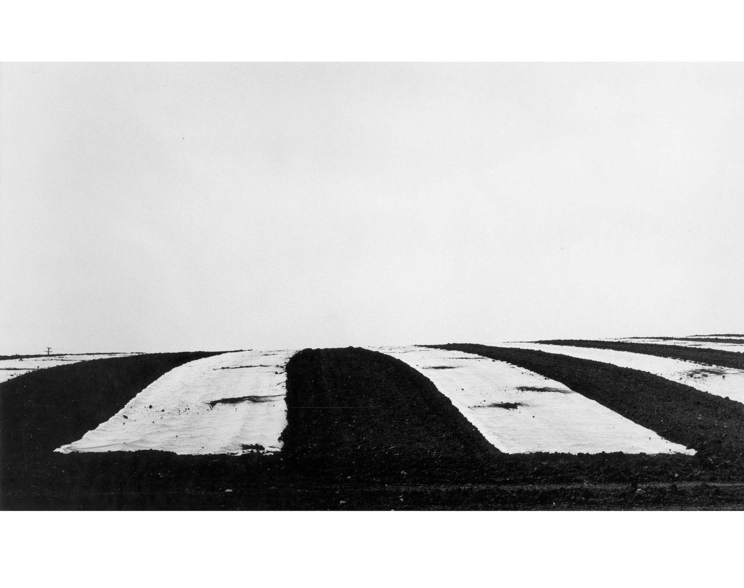 Homeland Photography  | Gallery Luisotti