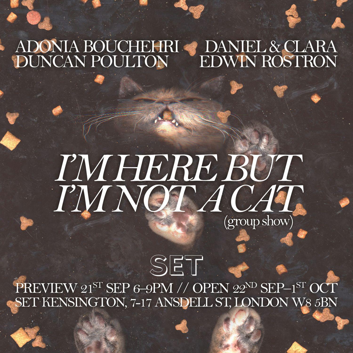 I’m Here But I’m Not A Cat  | Daniel & Clara, Duncan Poulton, adonia bouchehri, Edwin Rostron | SET Kensington