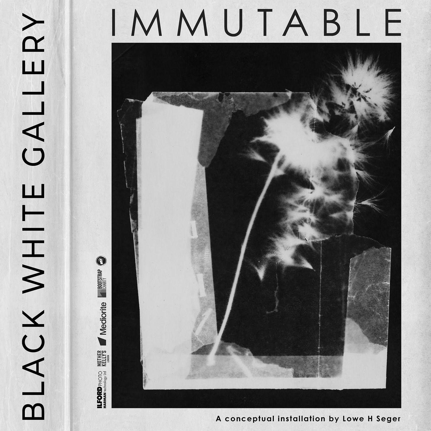 Immutable / Lowe H Seger Solo Show / Black White Gallery  | Lowe H Seger | Broadworks