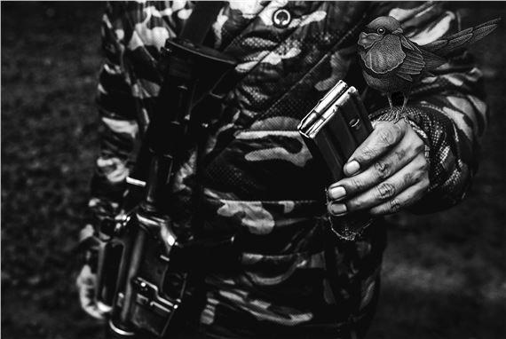 Insomnia: Bad trips and Broken Promises: Even Flowers Must Die | INSOMNIA | PAC Padiglione d'Arte Contemporanea