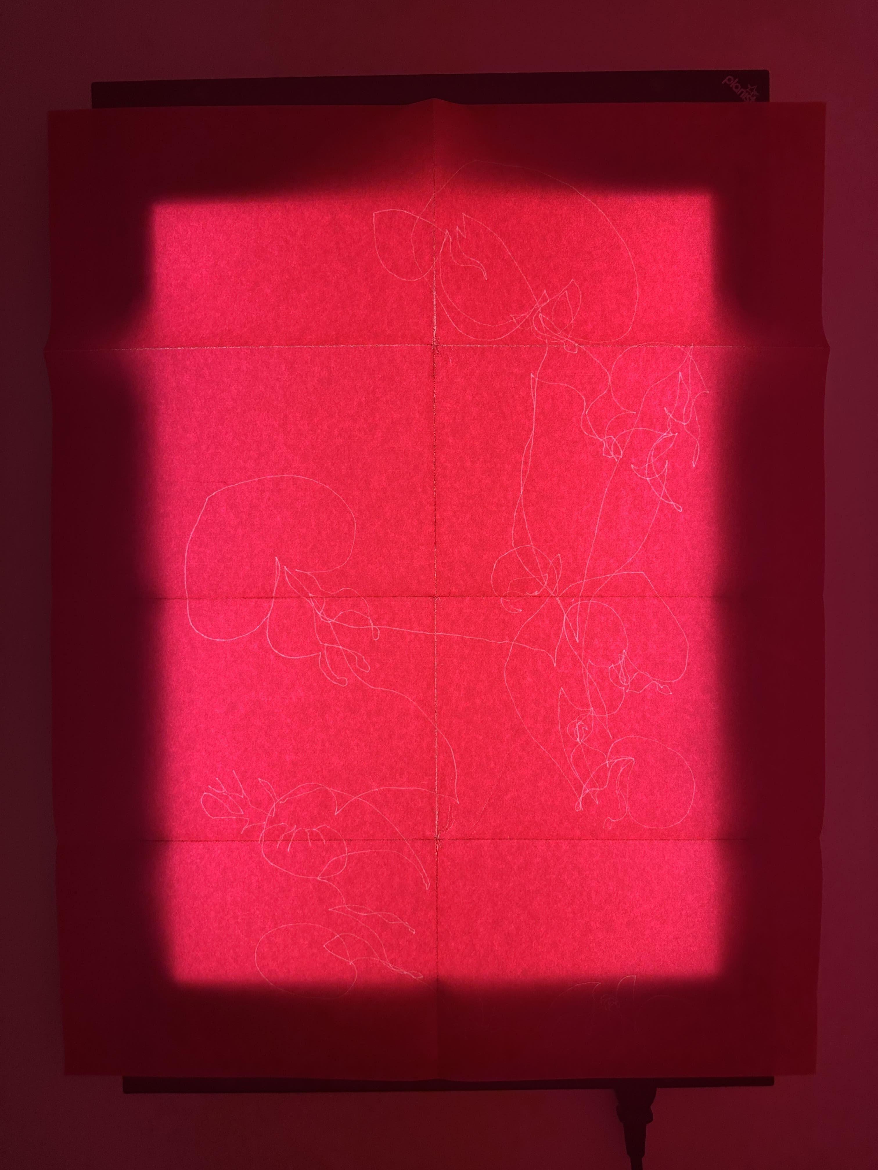 Isles of Dalia | mfc - michèle didier