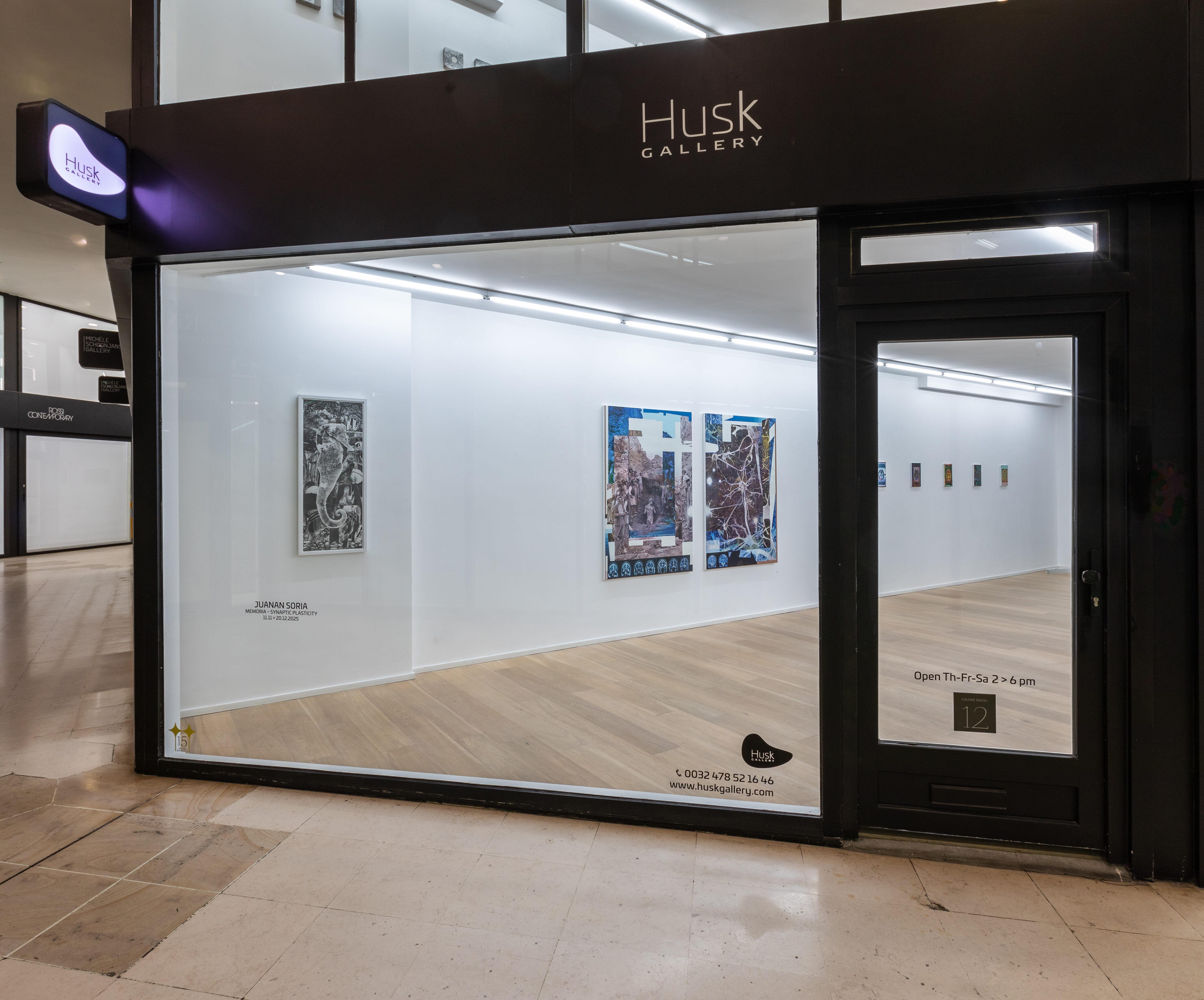 Juanan Soria - Memoria : Synaptic Plasticity | Husk Gallery