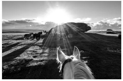 Juliette Mills & Dominic Welch: Quintessence | Dominic Welch, Juliette Mills | J/M Gallery