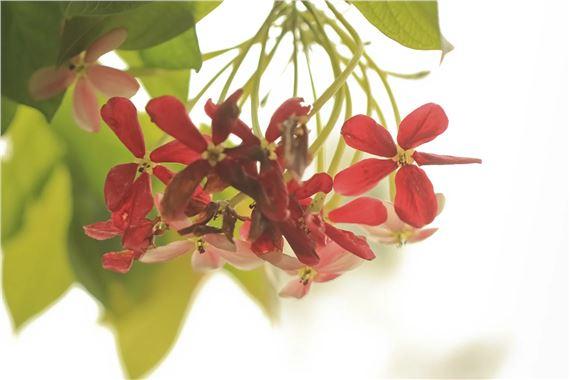 Kaushik Sunder Rajan: Gods Of Small Things | Kaushik Sunder Rajan | Perspective Gallery