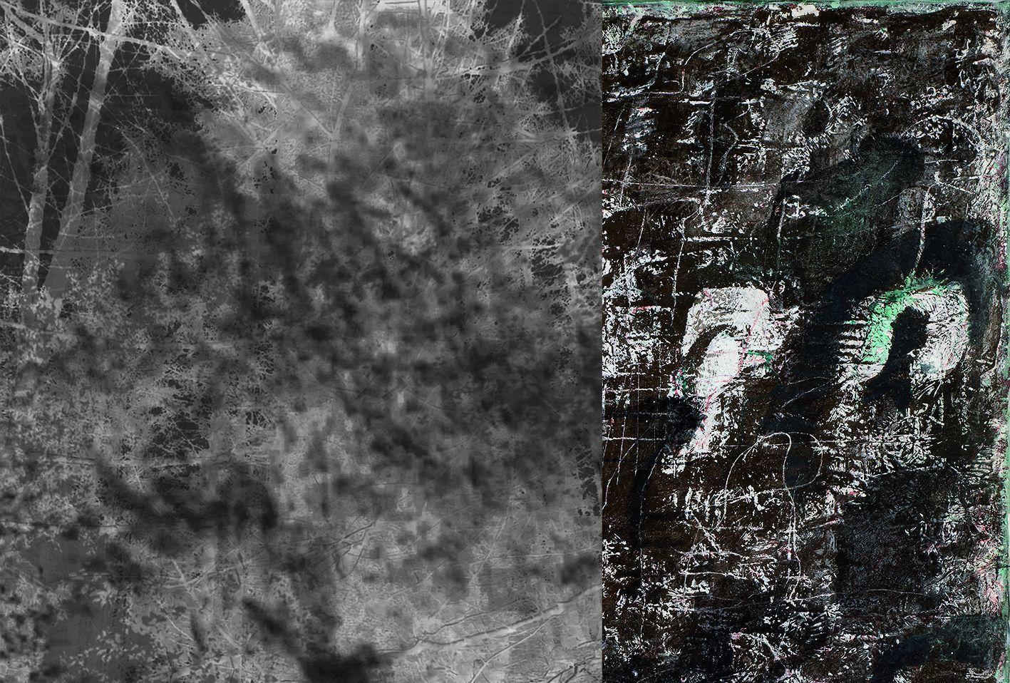 Like Wolves on the Fold  | Gerhard Hoehme, Delia Jürgens | Galerie Georg Nothelfer