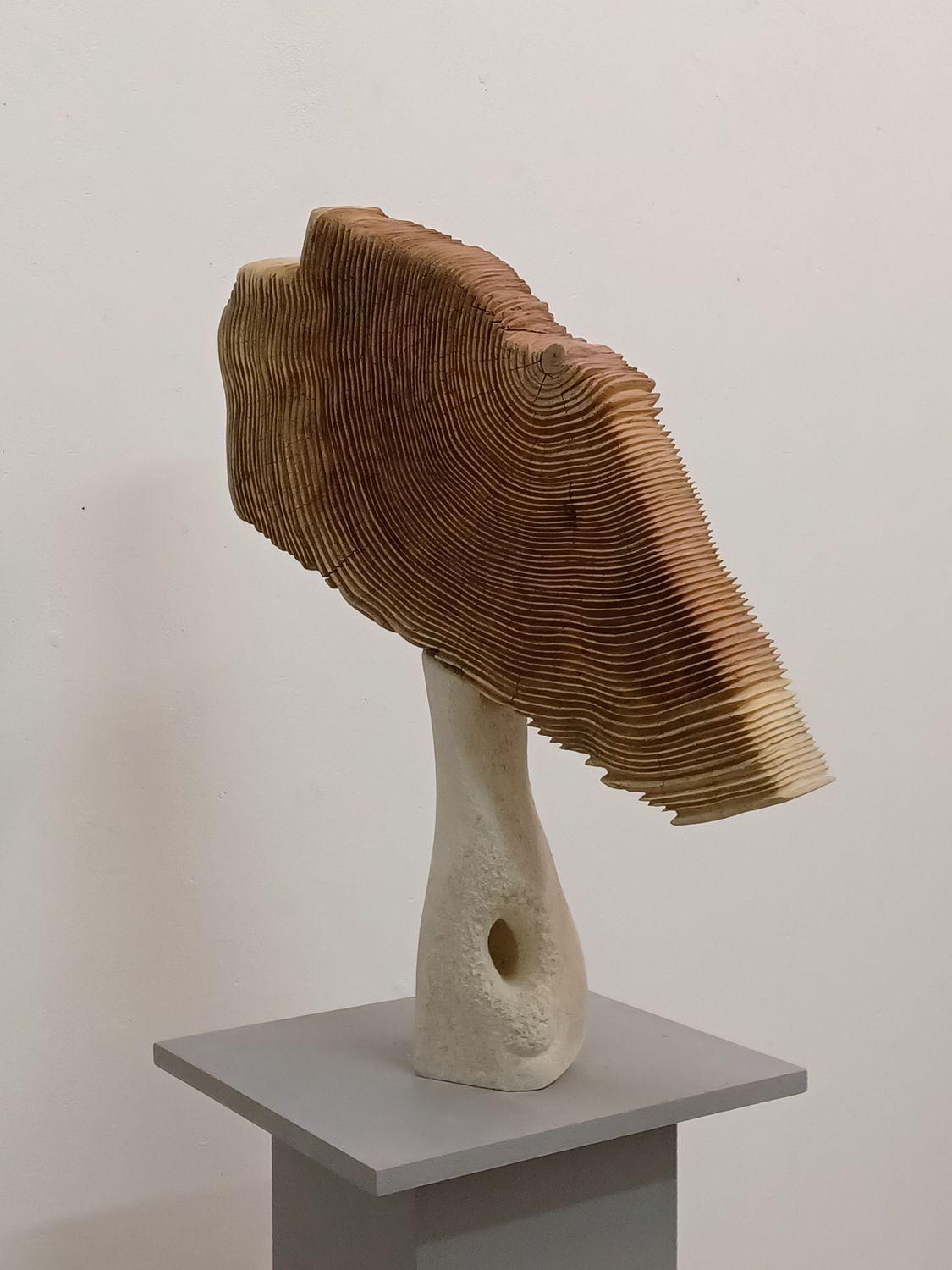 Origin - Wood  | Art in Perpetuity Trust Gallery