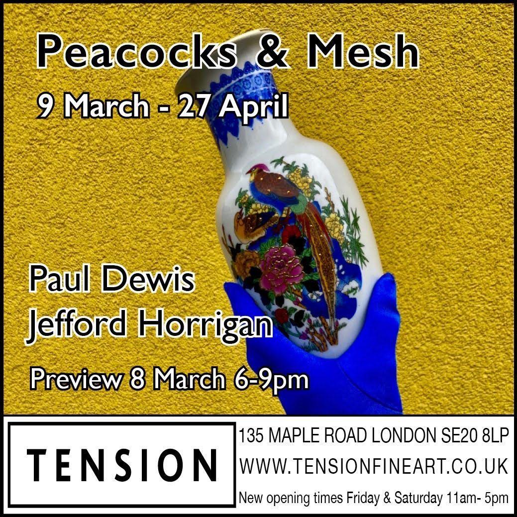 Peacocks & Mesh  | Paul Dewis, Jefford Horrigan | Tension Fine Art