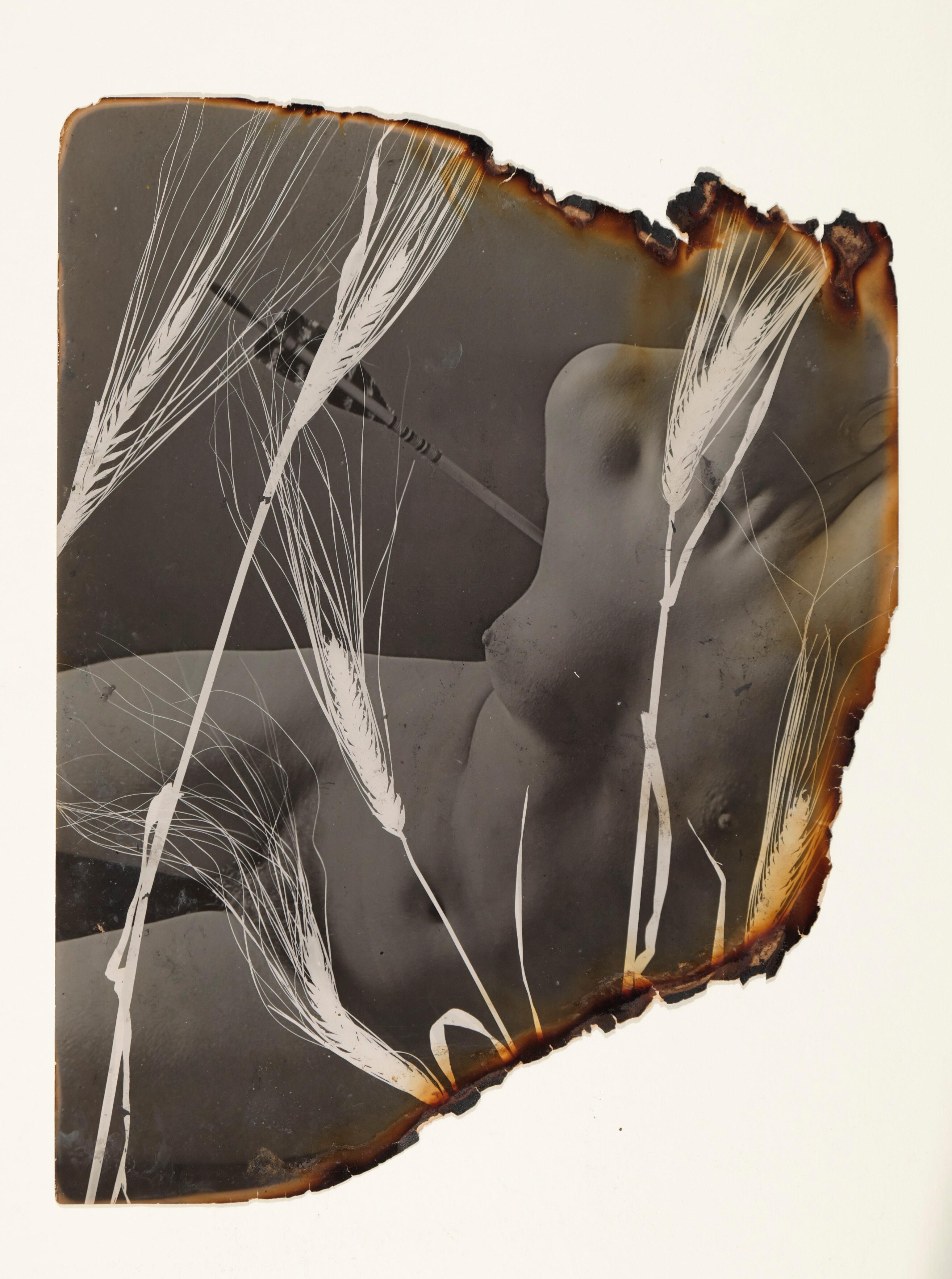 Pierre JAHAN. Photogrammes et Rayogrammes : 1940-1950 | Galerie Jean-François Cazeau