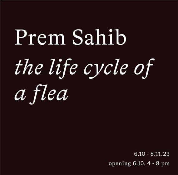 Prem Sahib: The Life Cycle of a Flea | Prem Sahib | Southard Reid