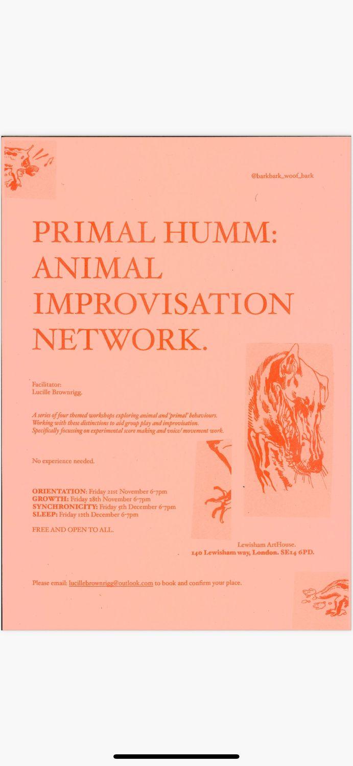 Primal Humm: Animal Improvisation Network  | Lewisham Arthouse