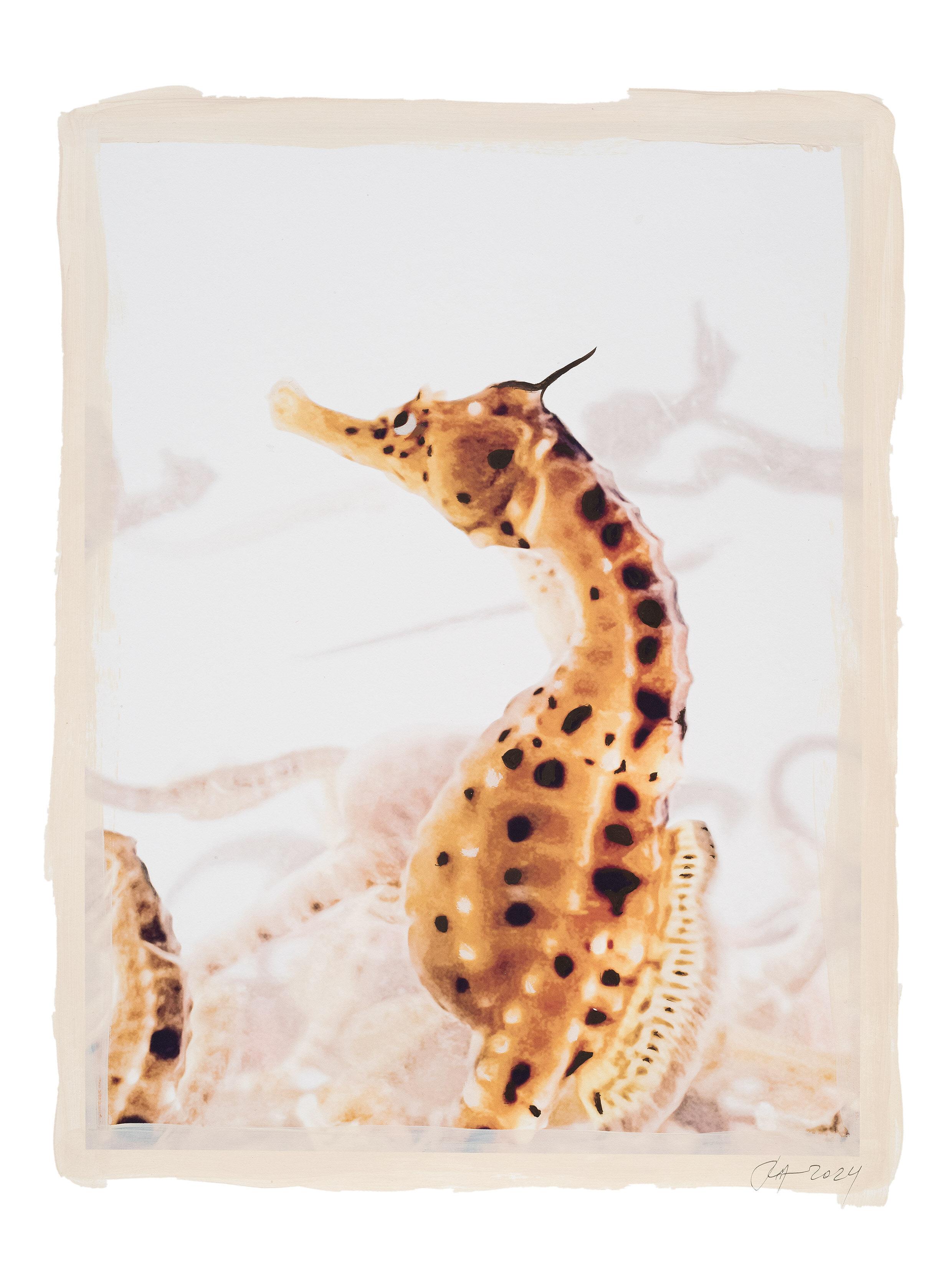 REGINA ANZENBERGER: FLOATING BONDS | Anzenberger Gallery