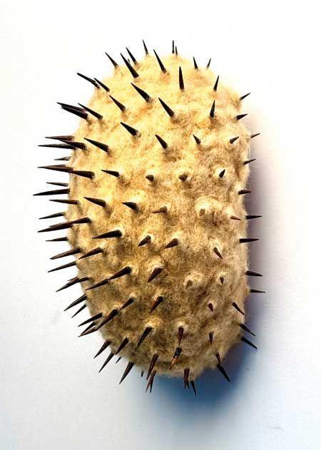 Robb Putnam. Exiles  | Robb Putnam | Walter Maciel Gallery