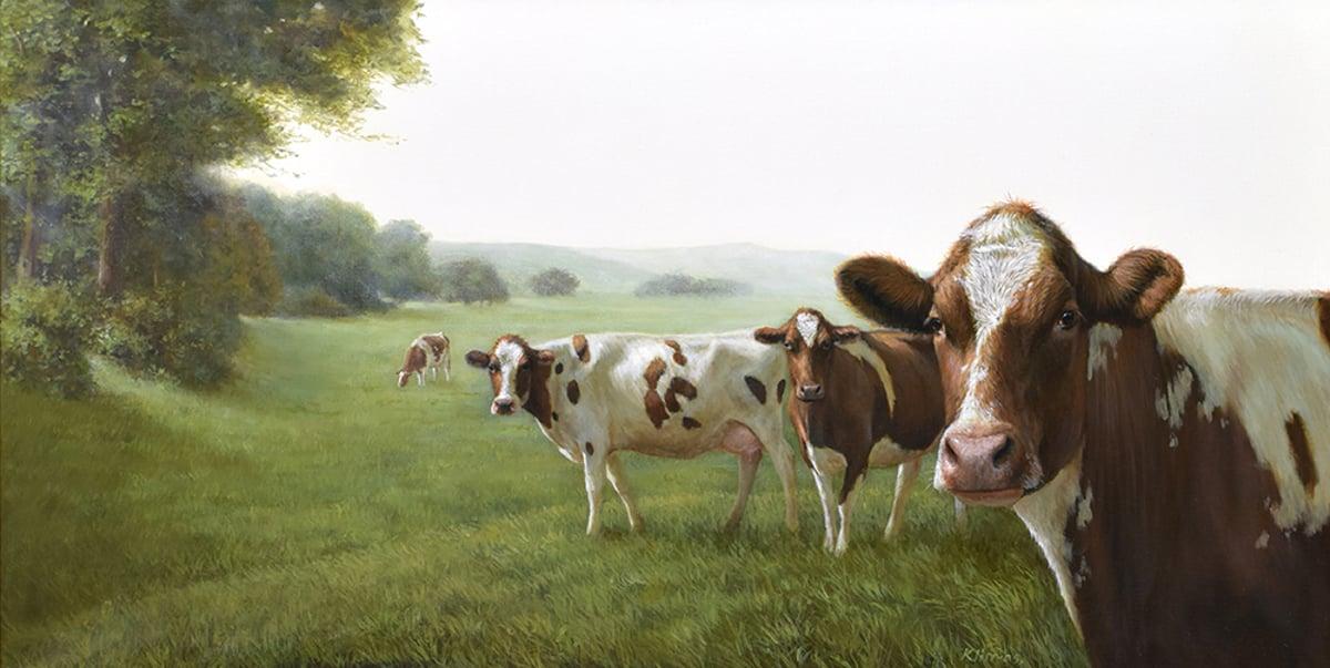 Rural Serenity - A Portrait of Farm Animails | Alexandra Klimas | Plus One Gallery