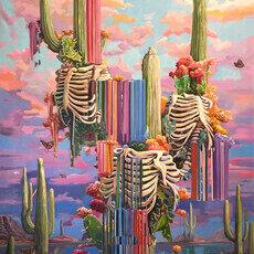 Sublime Paraíso | MAIA Contemporary