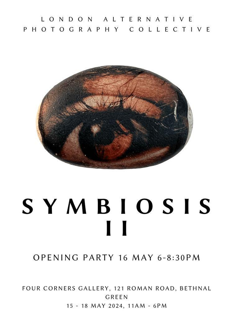 Symbiosis 2  | Four Corners