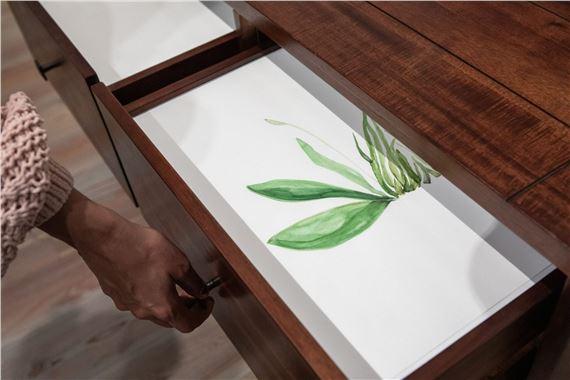 Temitayo Ogunbiyi: You will have revelations along felled branches and longer roots/routes | Temitayo Ogunbiyi | The Arts Club of Chicago