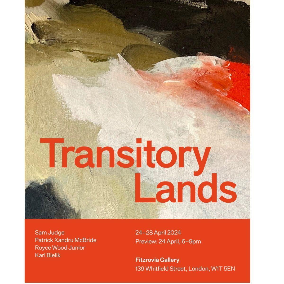 Transitory Lands  | The Fitzrovia Gallery