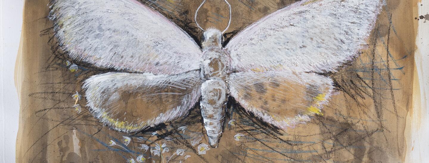 Waning Crescent: a metzli projects group show  | OXY ARTS