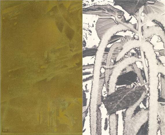 Xiaochi Dong & Feiyi Wen: The Garden and the Gaze | Wen Feiyi, Xiaochi Dong | Albion Jeune